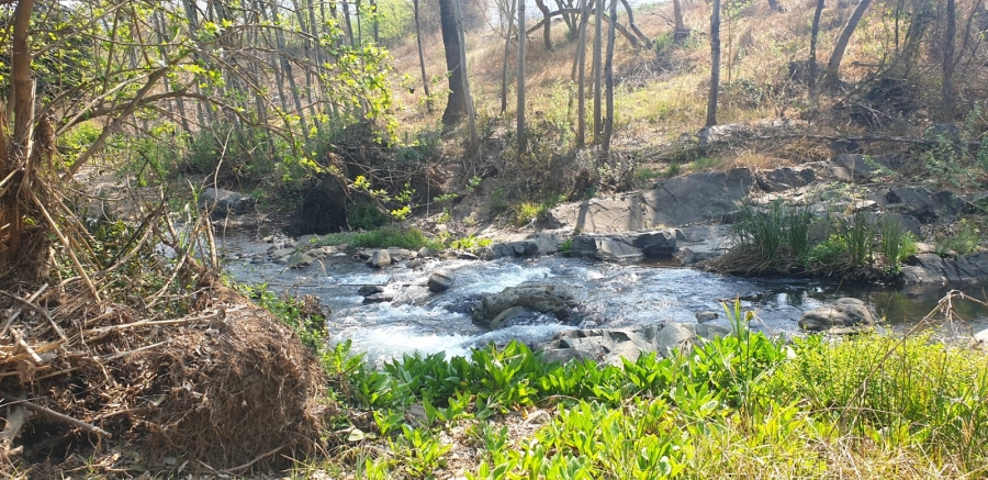 Commercial Property for Sale in Leeuwenkloof North West